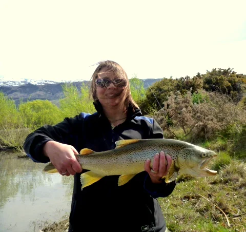 The New Zealand Blowfly