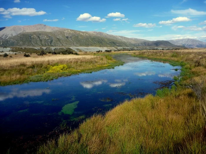 Fly fishing New Zealand Spring Creeks