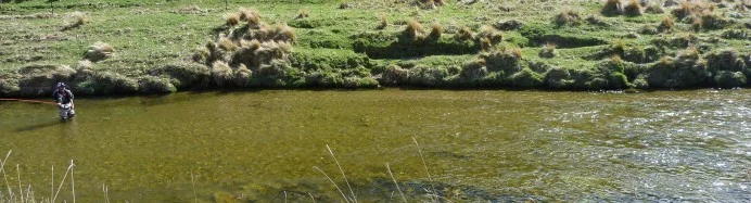 Carl getting into position to cast to a nymphing fish in the centre of the run.