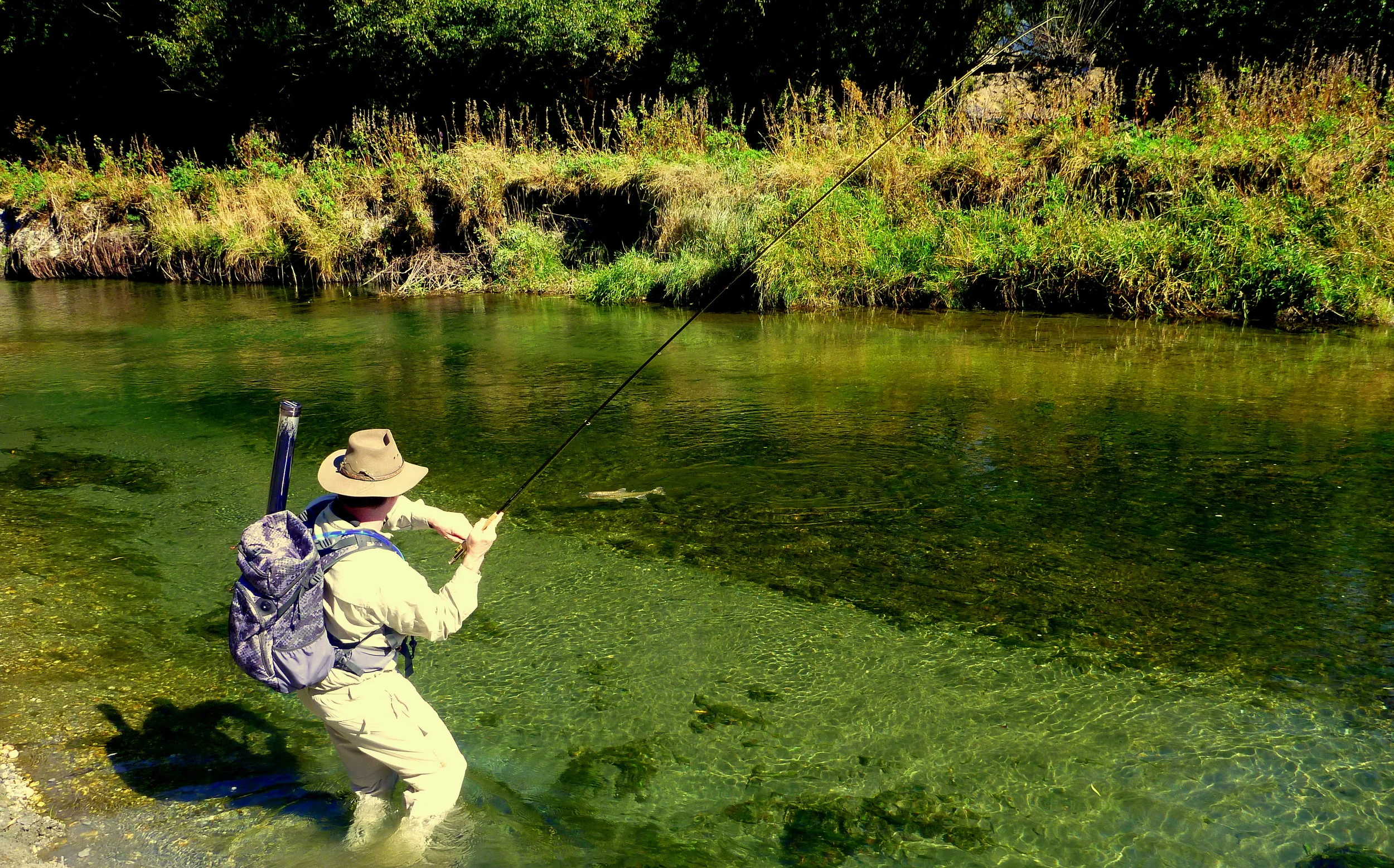 Queenstown fly fishing for trophy trout.