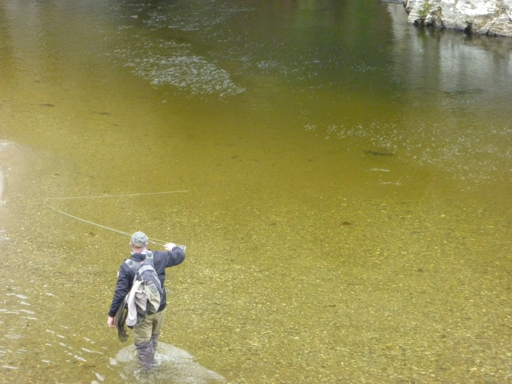 Southland brown trout fly fishing New Zealand.