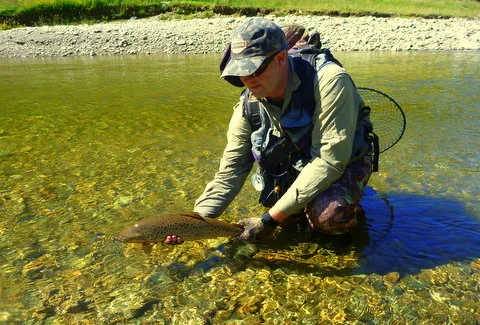 New Zealand Trout Fishing Adventures.