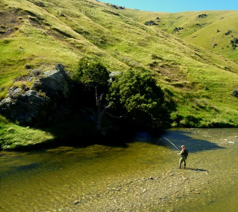 South Island of New Zealand trout fishing for brown and rainbow trout.