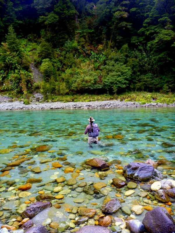 Fly fishing New Zealand.