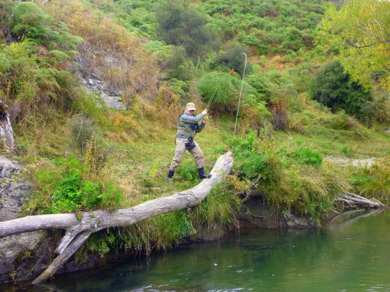 New Zealand Trout Fishing adventures