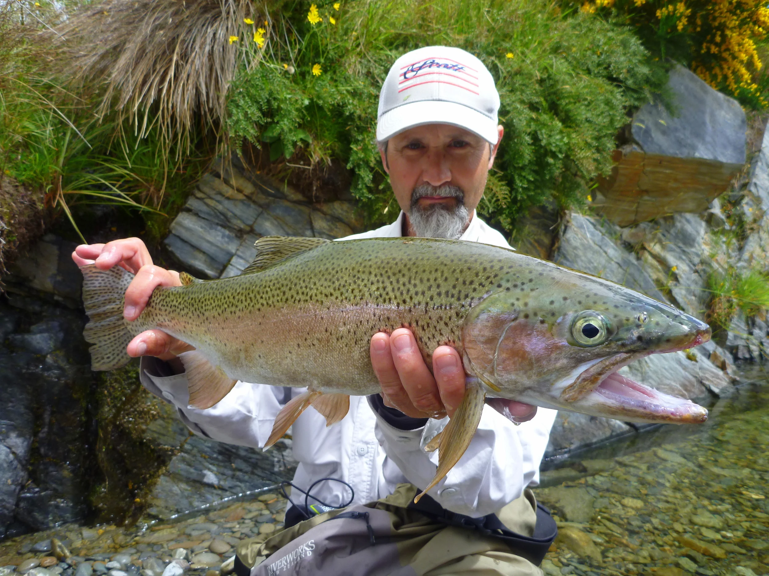Fly Fishing Queenstown for Rainbow trout