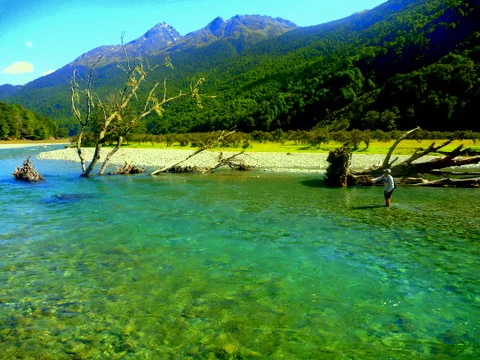 Stunning New Zealand trout fishing.