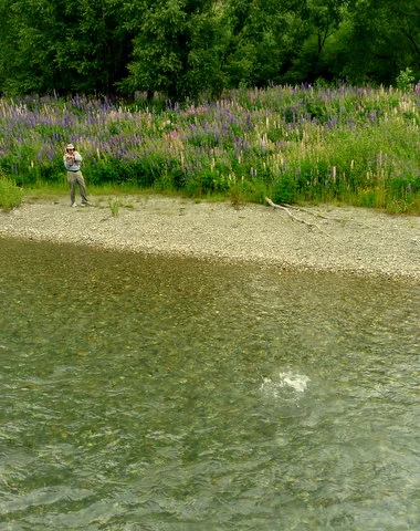  Fly fishing Queenstown for trophy trout