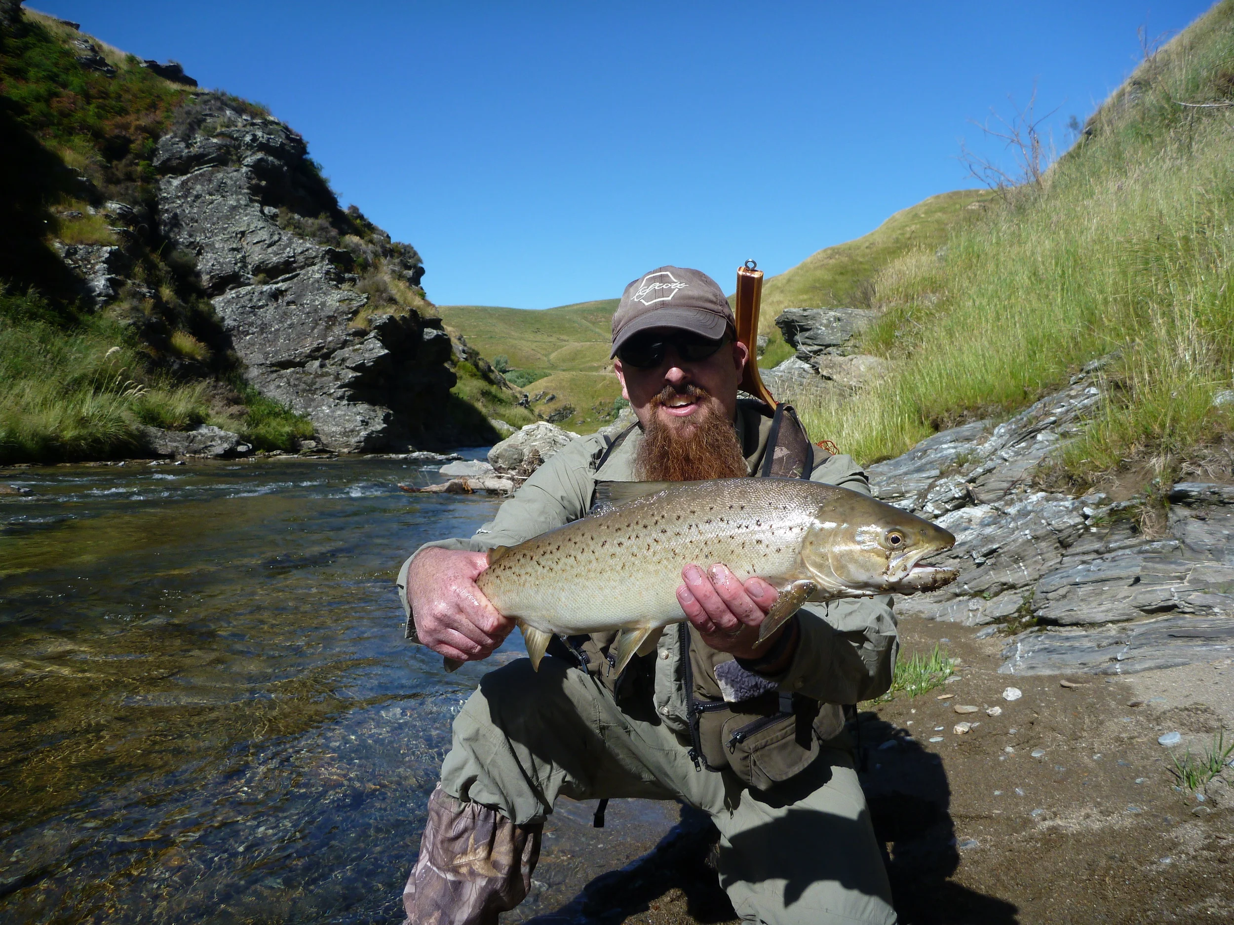 Trophy brown trout in New Zealand