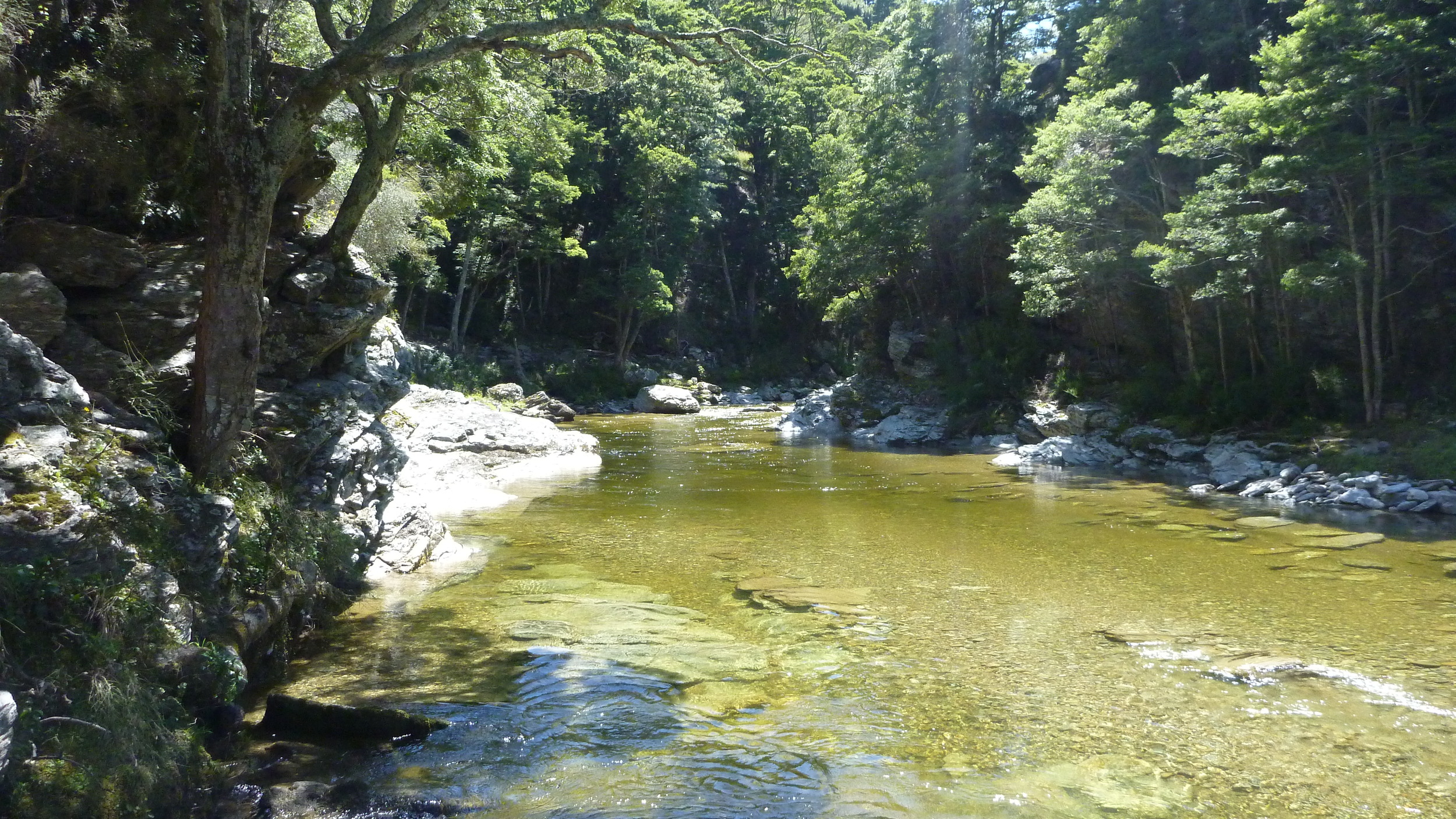 Fly fishing New Zealand.