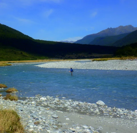 New Zealand trout fishing at it's best