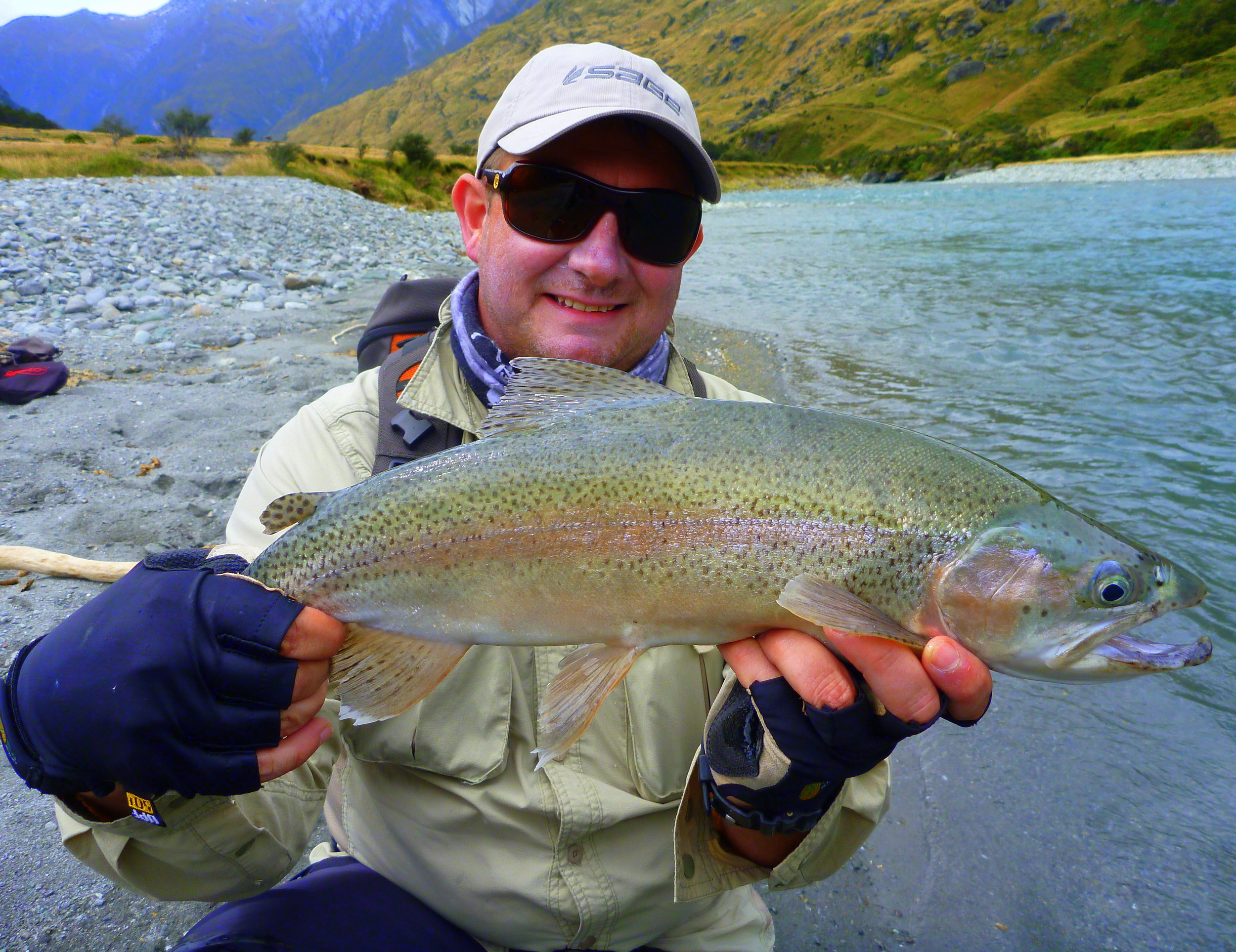 New Zealand rainbow trout