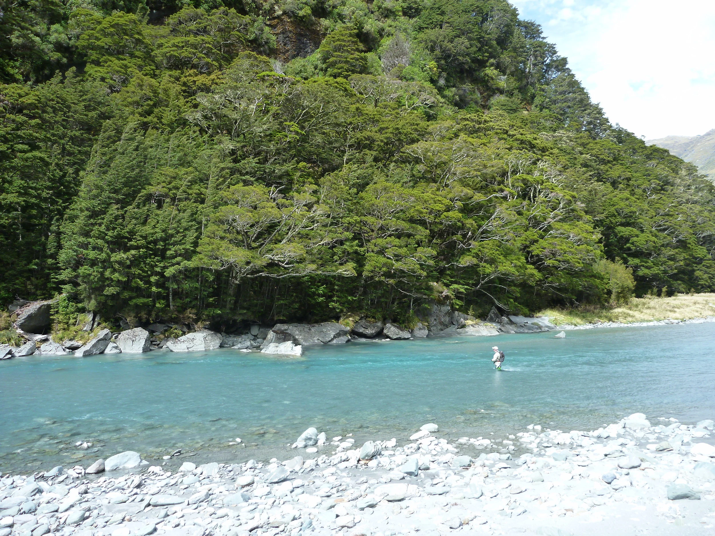 Freestone rivers and streams in New Zealand