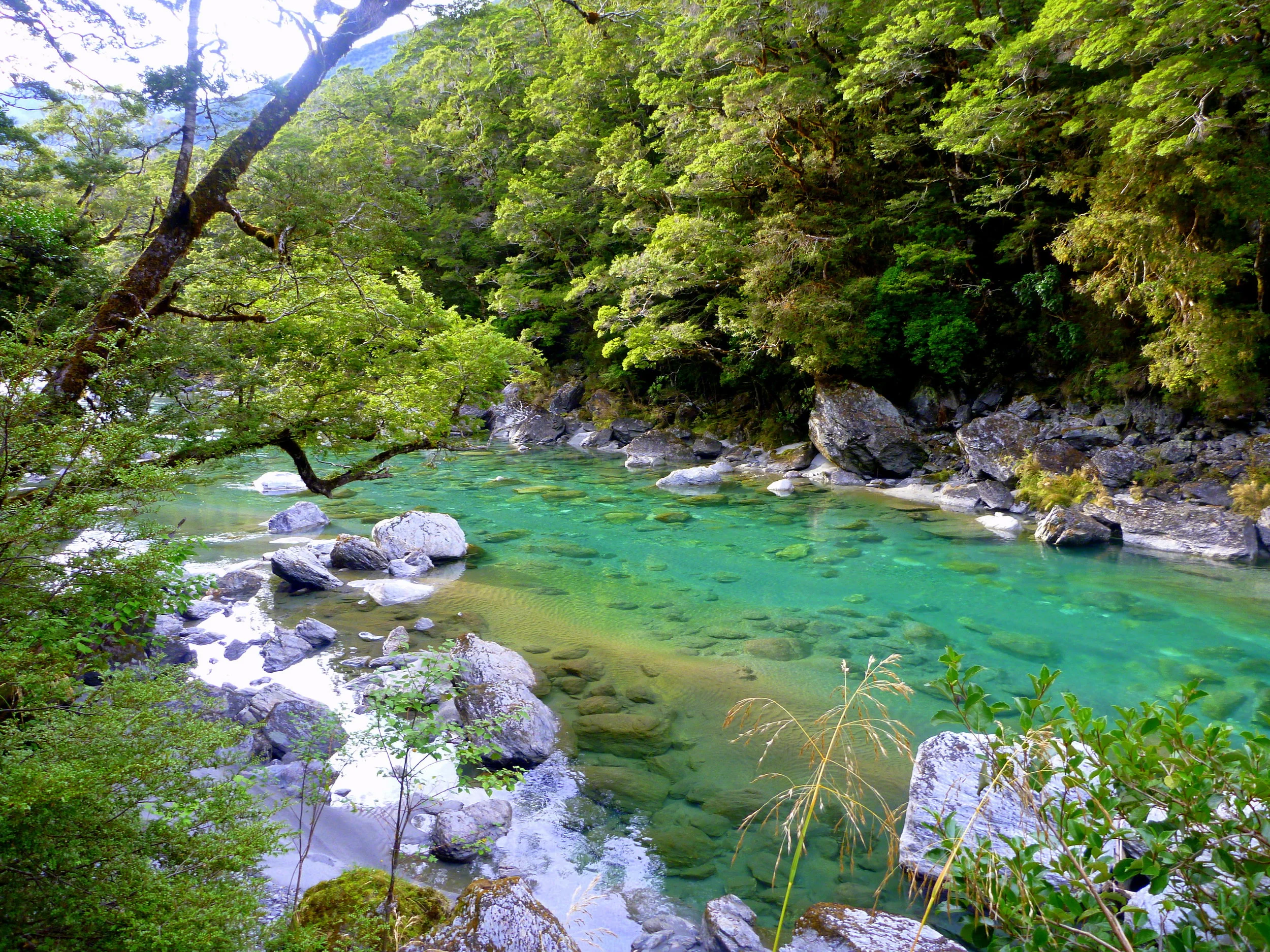 New Zealand fly fishing.