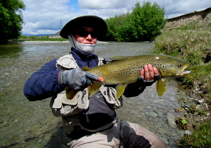 Trophy brown trout from the Twizel region of the South Island of New Zealand.