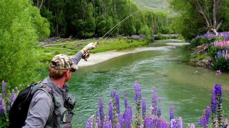 Fly fishing the small river and streams in the South Island of New Zealand