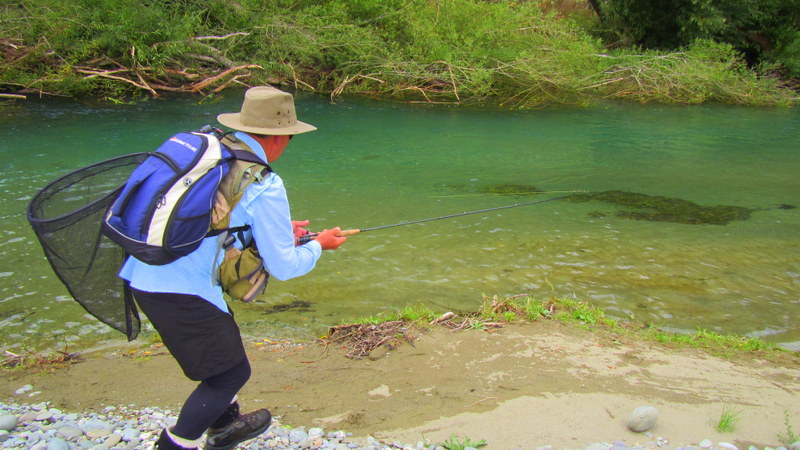 Dry fly fishing for Mataura brown trout.