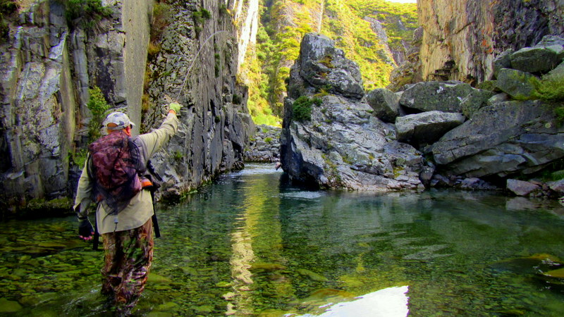 Dry fly fishing in the South Island of New Zealand for trophy brown and rainbow trout.