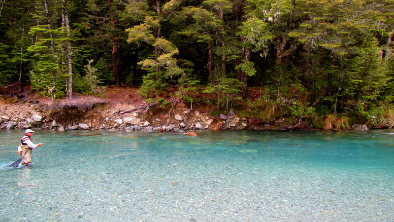  Fly fishing Queenstown for trophy brown and rainbow trout. (Copy)