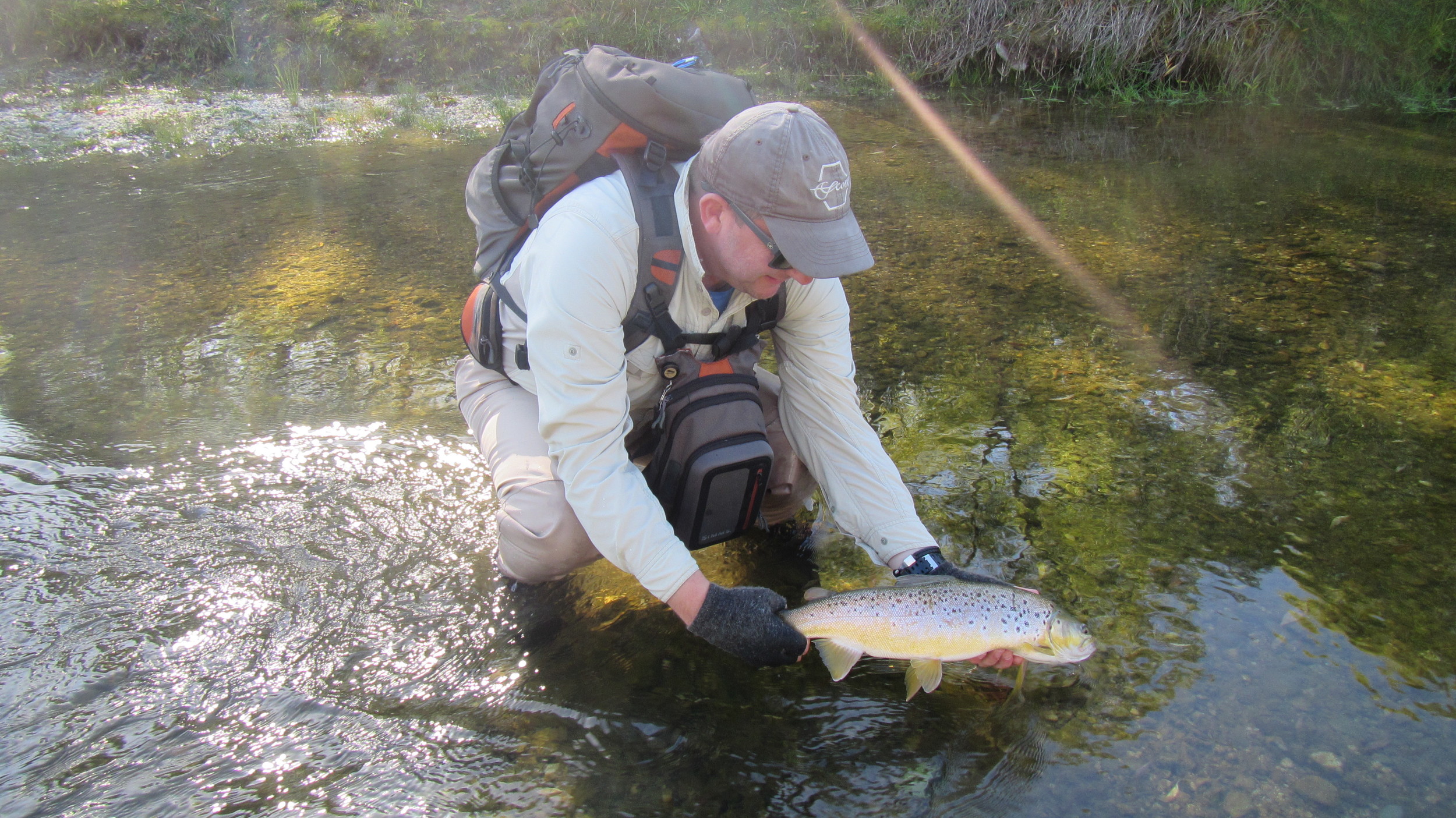 Fly fishing Queenstown for trophy brown trout