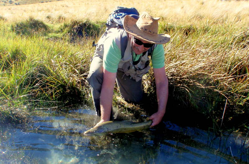 Fly Fishing New Zealand in the Mckenzie region. (Copy)