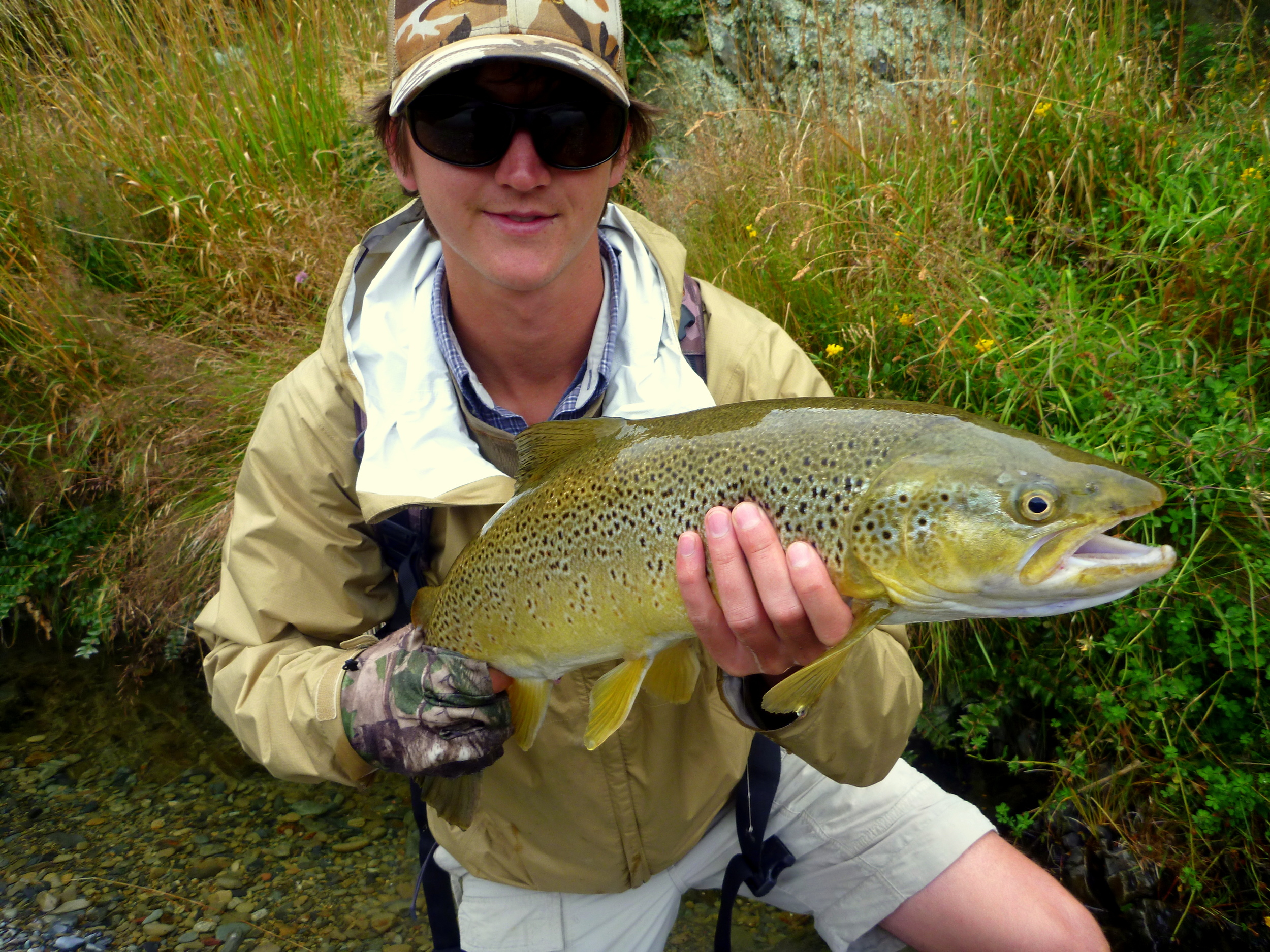 New Zealand trout fishing in the Southland region