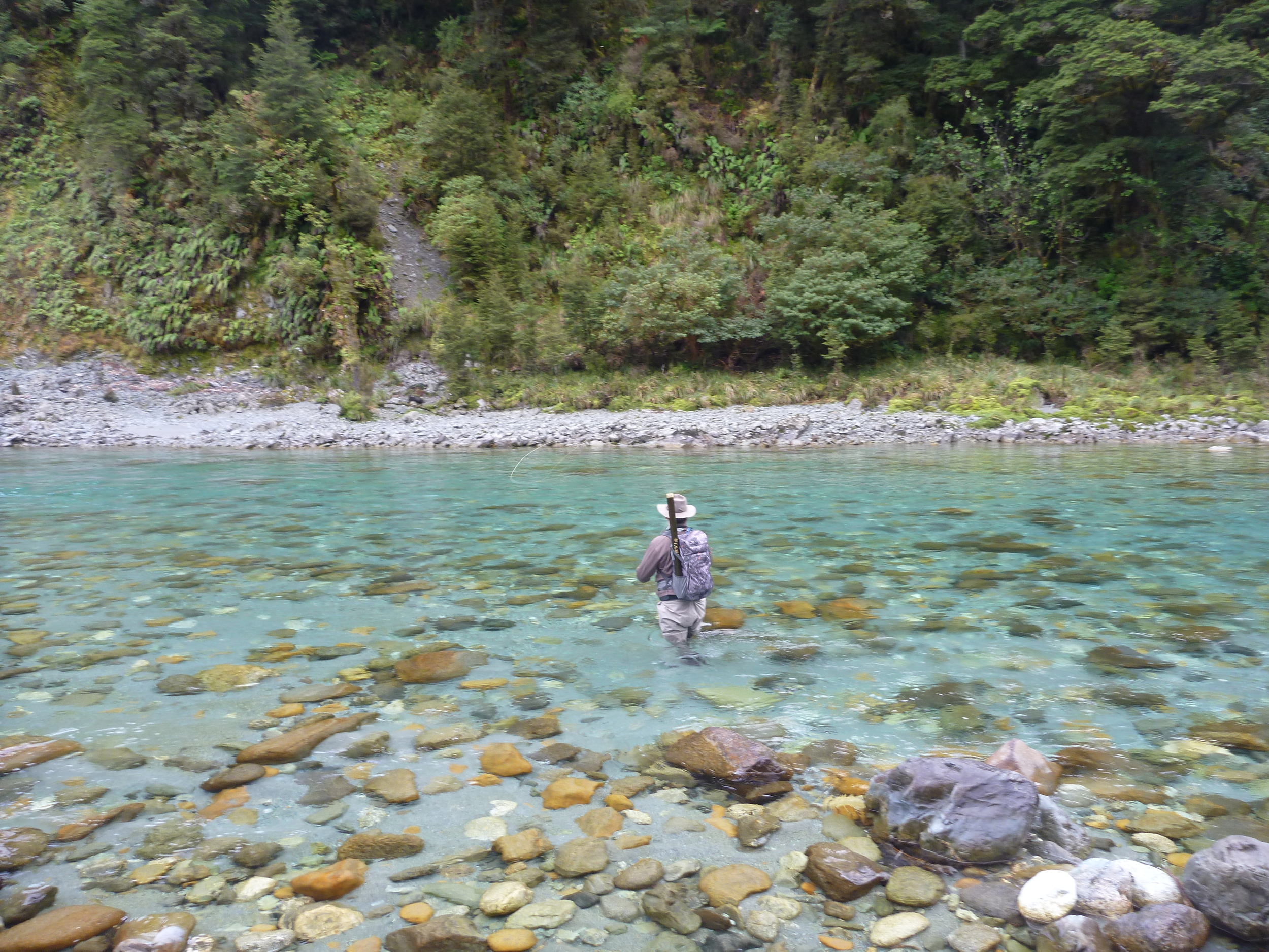 New Zealand Trout Fishing in the Southland region.