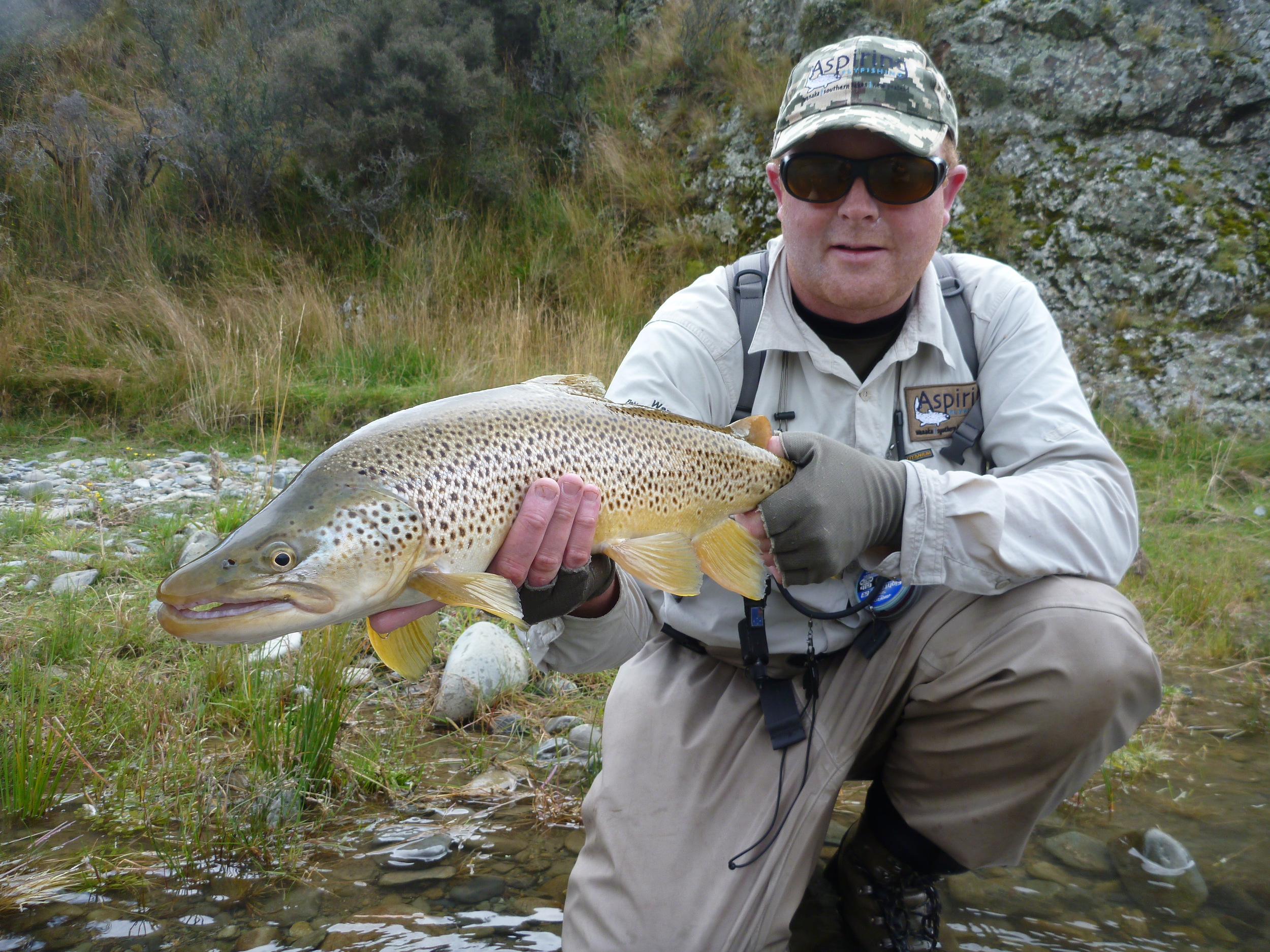 Fly Fishing Queenstown for trophy trout. (Copy)