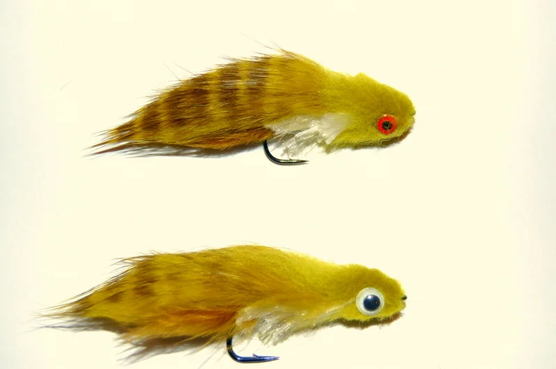 fly fishing Queenstown over the winter months