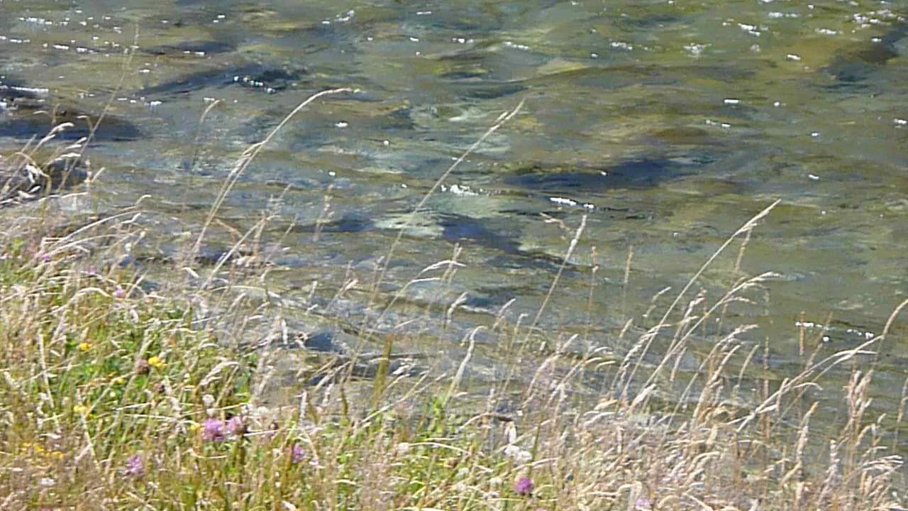 fly fishing Queenstown