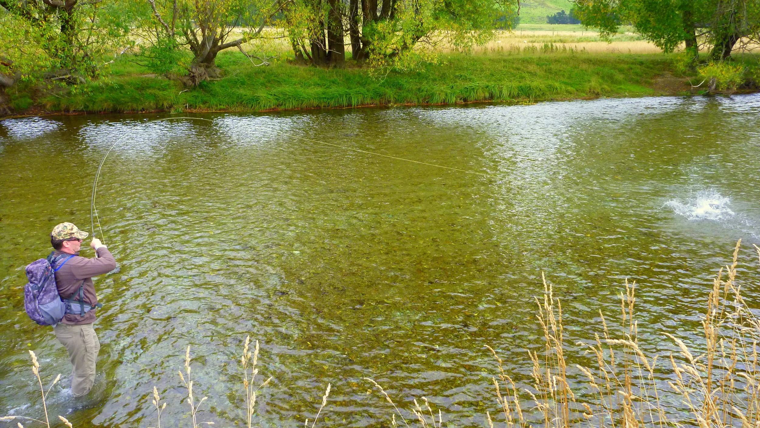 Fly Fishing Queenstown 