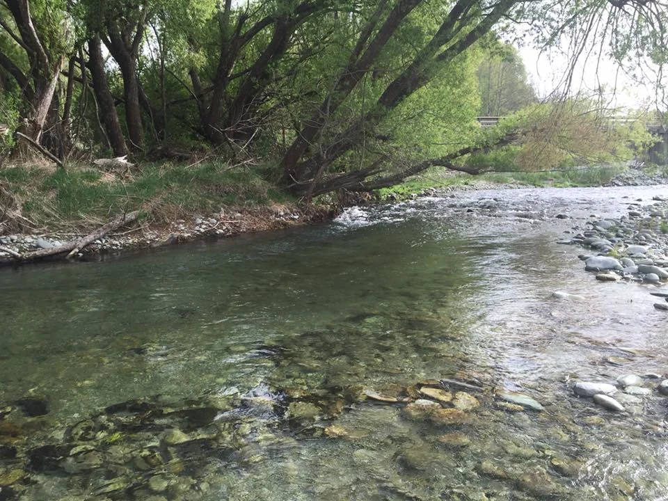 Fly Fish New Zealand -Day 1