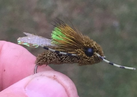  Manics rubber legged Deer Hair cicada