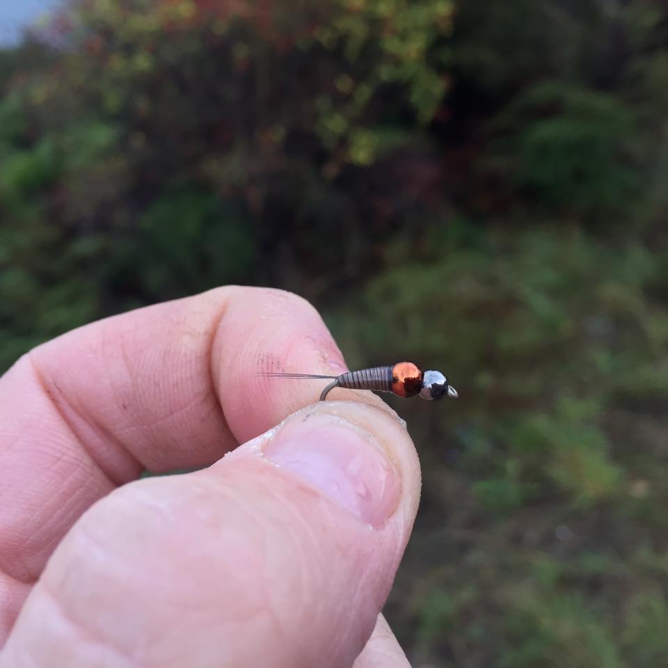 Bombs Away : Fly Fish New Zealand