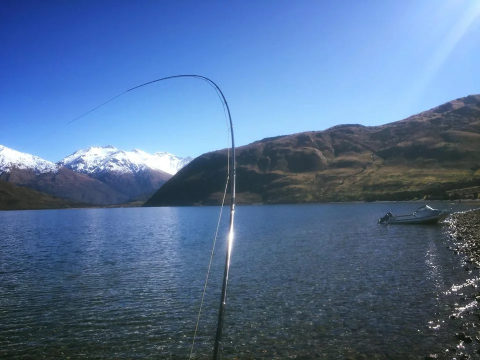 Fly Fish New Zealand : Spring Time Cruisers