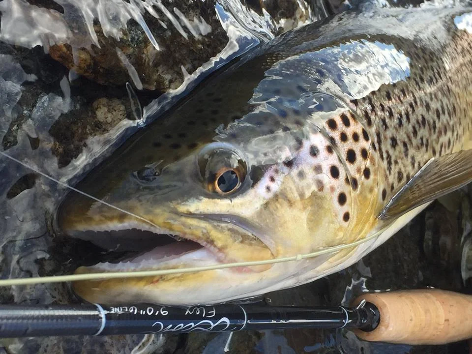 Fly Fish New Zealand Opening Day 2016