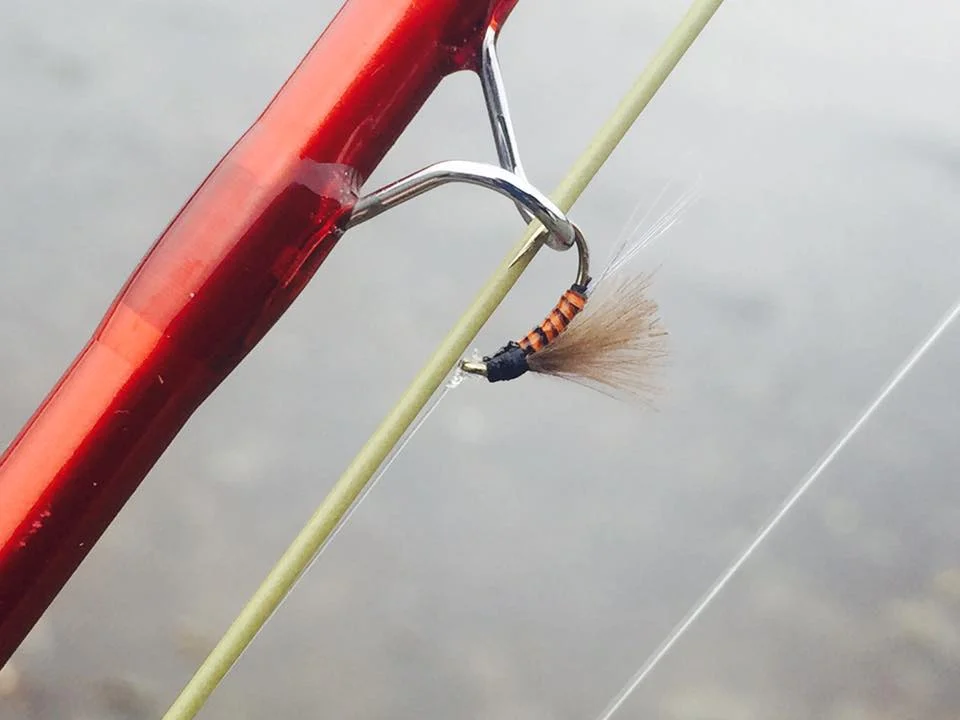 CDC Emergers On The Mataura River