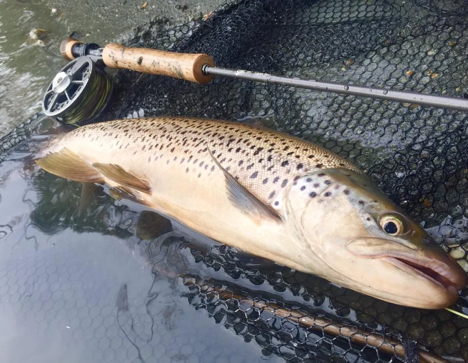Fly Fishing New Zealand In The Month Of May