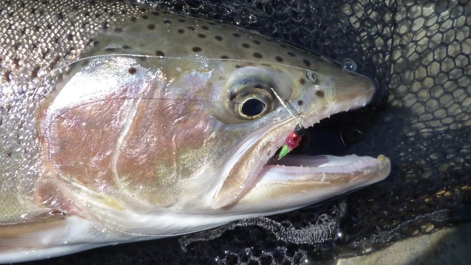 Early Season Preparation | Aspiring Fly Fishing Guides