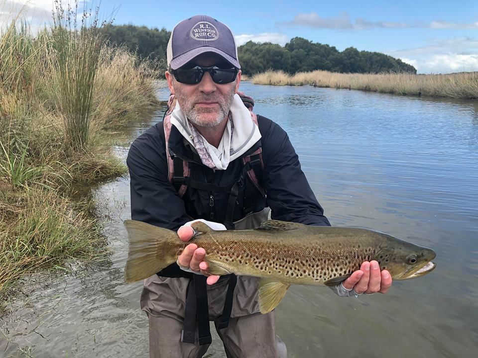 Back Water Trout | Fly Fish New Zealand