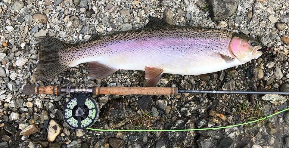 Clutha River Trophy Rainbow Trout | Wanaka Fly Fishing