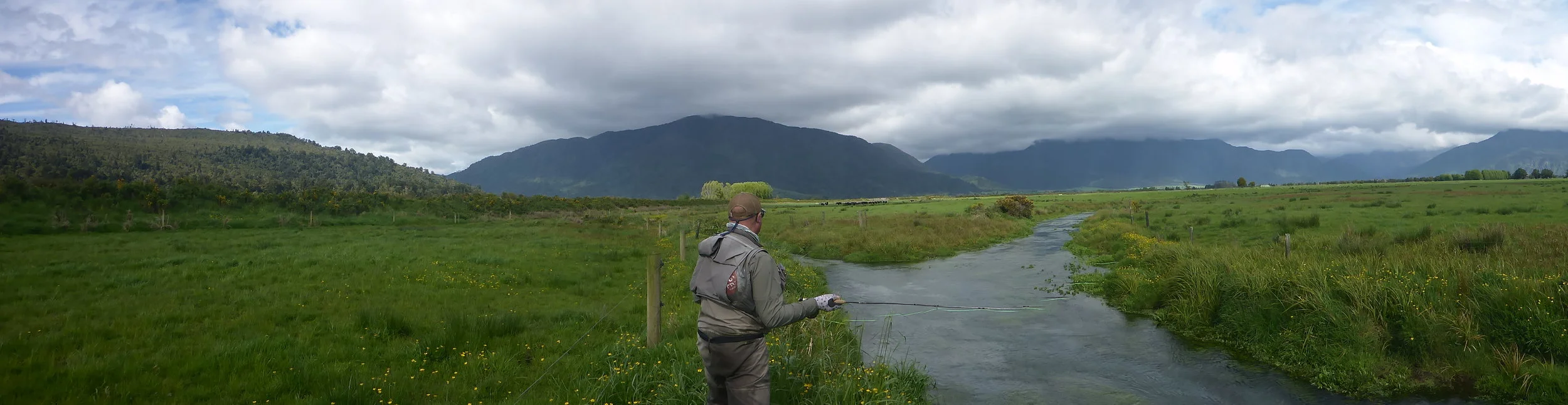 Sighting a brown trout in gin clear south westland spring creek- Edit.JPG