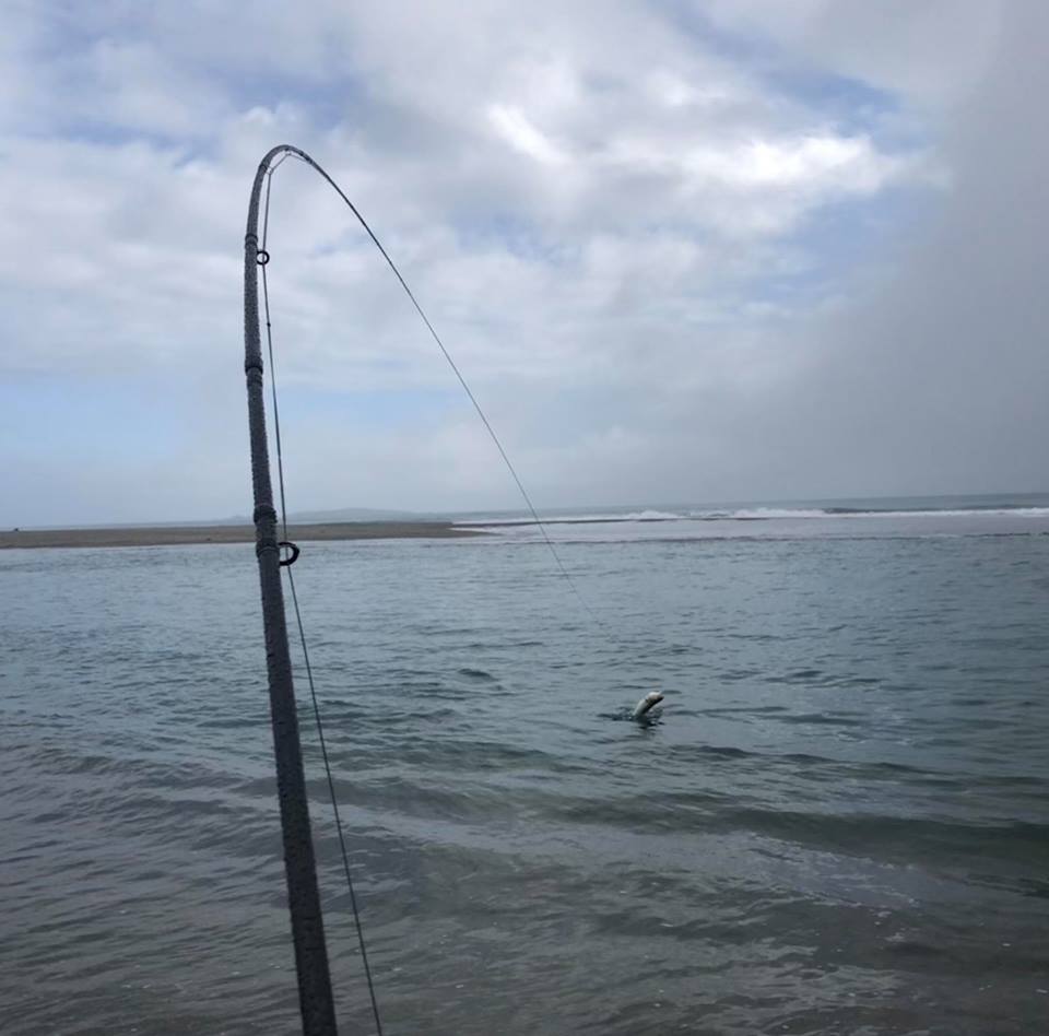 A Day Of Sea Run Trout Fishing 