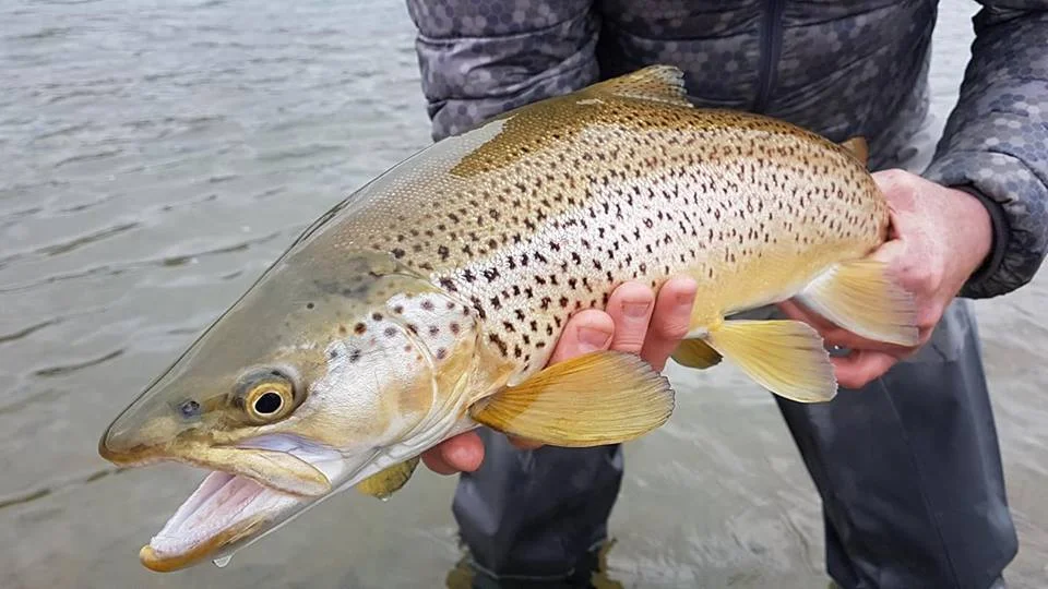 Something Different For Opening Day.