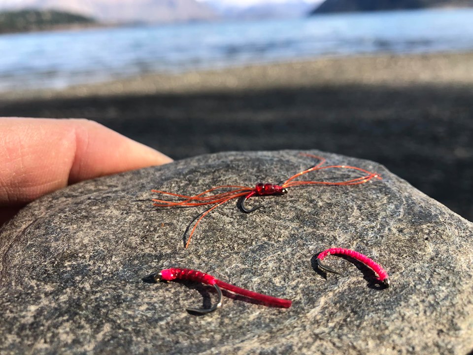 Trout Food - The Blood Worm
