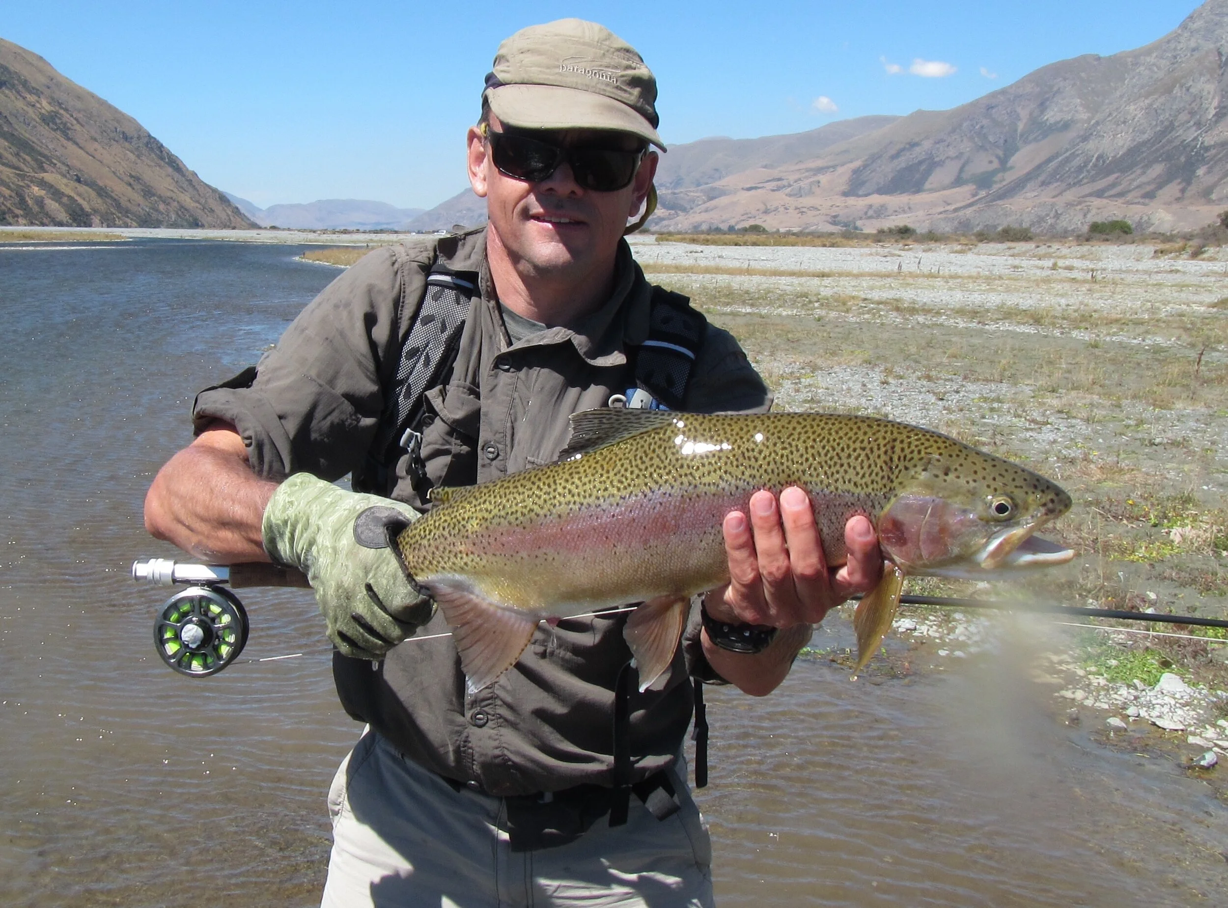 Cicada muncher who fell for a black high floating cicada