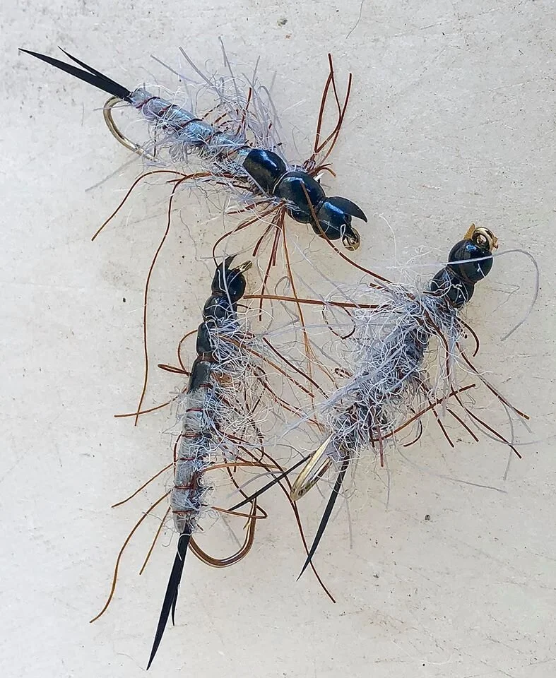 Dobson/Creeper/Toebiter Fly Imitation - Trout Food