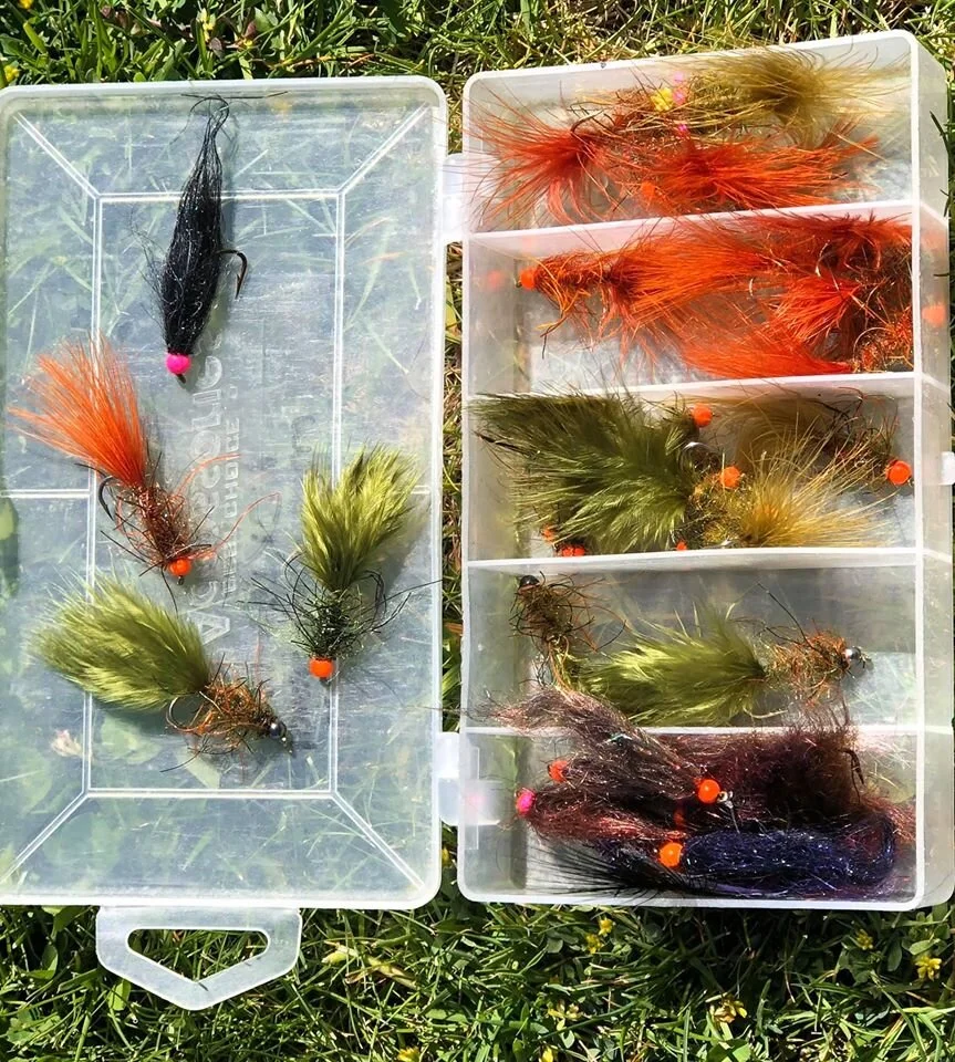 A box of Woolly bullies in varying colours