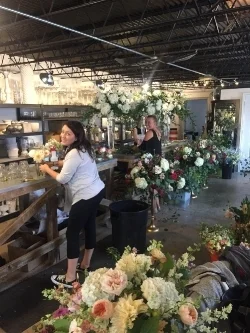 THE OLIVE & POPPY COLLECTIVE @ COBALT OFF BROADWAY