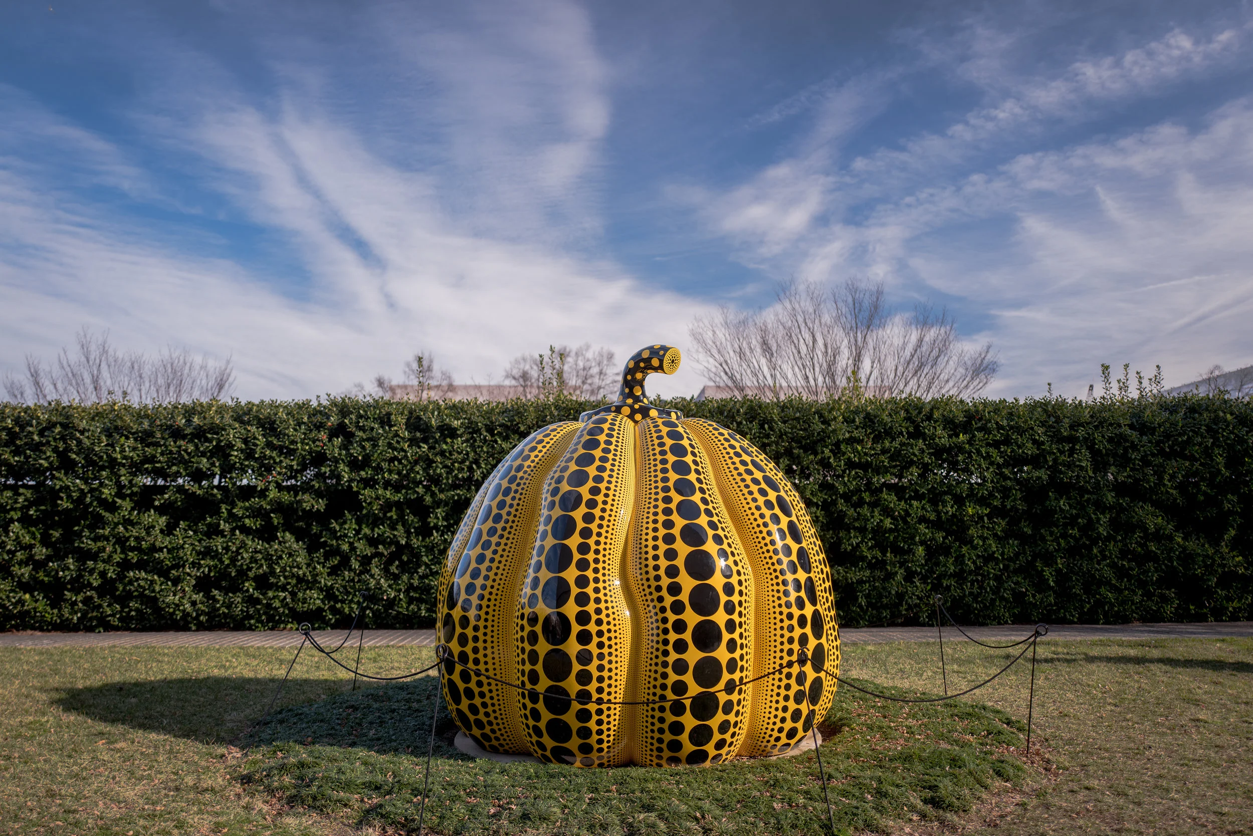 Pumpkins bring about poetic peace in my mind. Pumpkins talk to me. - Yayoi Kusama